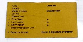 Picture of Breeder Seed Tag